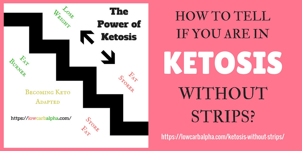 1. The Basics of Ketosis - Understanding How it Works
